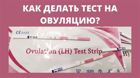 Как узнать, что тест на овуляцию положительный?