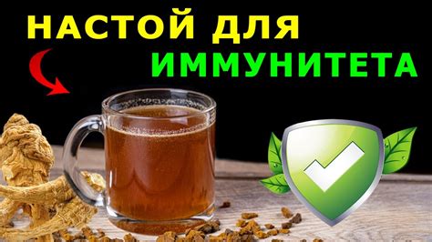 Как укрепить иммунитет после приема антибиотиков