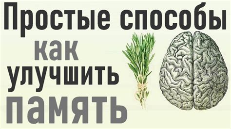 Как улучшить память своими силами