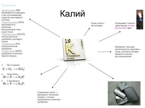 Калий в биологии и медицине