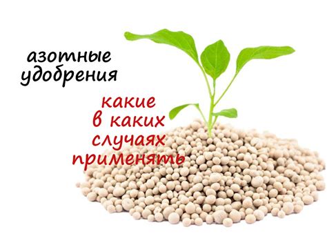 Карточки азотные