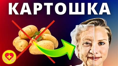 Картошка: приготовление и интересные факты