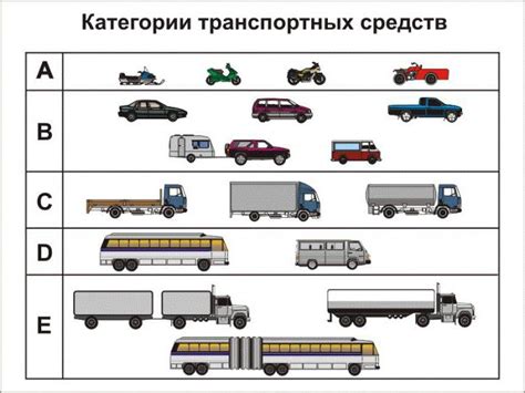 Категория "D" - для профессиональных водителей