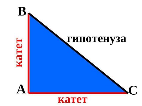 Катет в геометрии треугольника: основные понятия