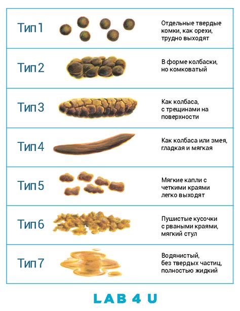 Каши, рекомендуемые для живота у ребенка 7 лет