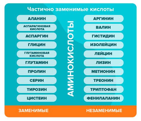 Кетогенез и аминокислоты: какое влияние на организм спортсмена?