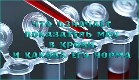 Кислород 76 в крови: что означает этот показатель?