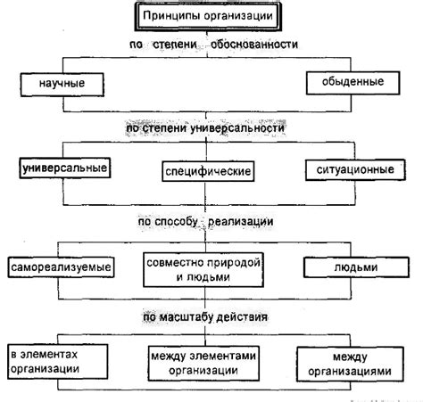 Классификация принципов вины