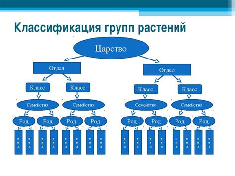 Классификация растений: общие принципы