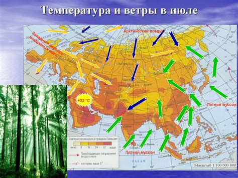 Климатические особенности залива и моря