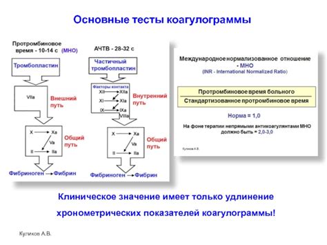 Клиническое значение коагулограммы