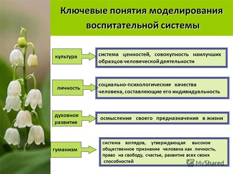 Ключевые понятия и составляющие нирваны