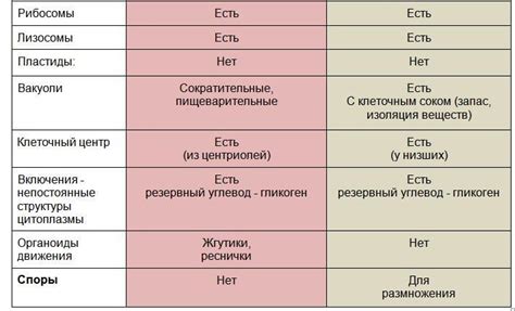 Ключевые черты и различия видов