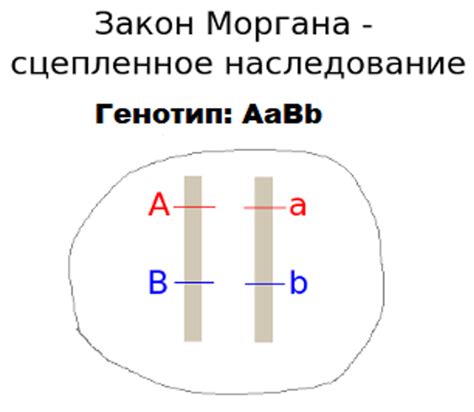 Когда использовать сцепленное наследование