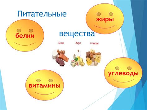 Когда и сколько вносить питательные вещества?