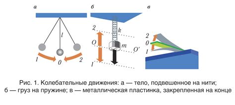 Колебательное движение, период, длина свободного маятника