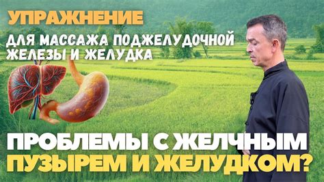 Колики и проблемы с желудком