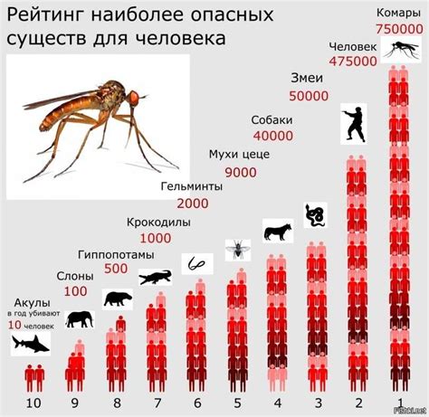 Комары во сне