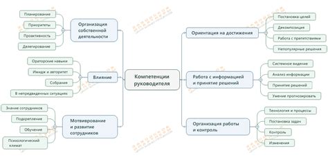 Компетенции директора и руководителя