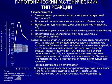 Комплексная оценка сердечно-сосудистой системы