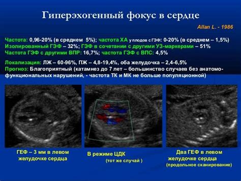 Комплексная реабилитация после лечения гэф в лж у плода