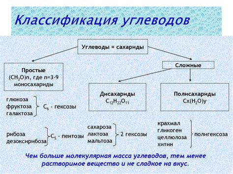 Комплексы углеводов и их роль