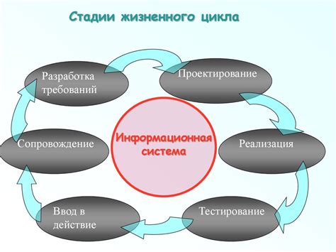 Компоненты жизненного цикла информационной системы