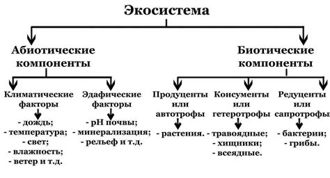 Компоненты и структура