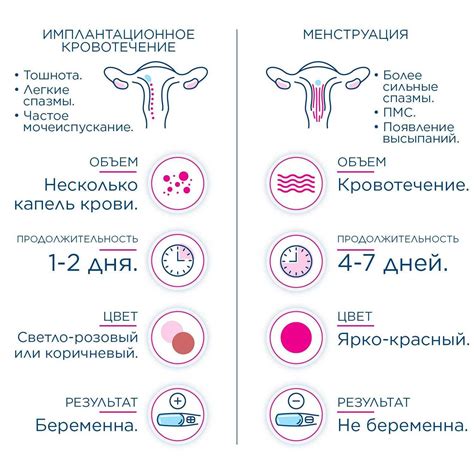 Компоненты крови во время менструации