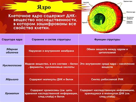 Компоненты ядра и их роли