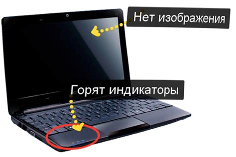 Компьютерный экран не работает: что делать?