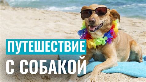 Комфорт во время поездки