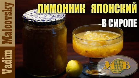 Консервация лимонника