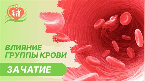 Конфликт групп крови при беременности: ваши знания могут спасти жизнь