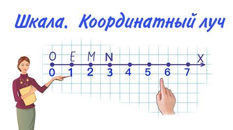 Координатный луч: определение, начало, длина, конец