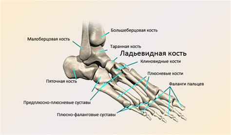 Косточка стопы как причина