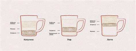 Кофе раф и капучино: соотношение ингредиентов