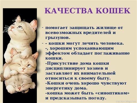 Кошка обладает целебным эффектом