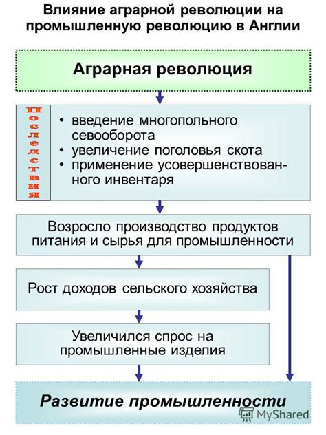 Купцы и их влияние на промышленную революцию в XIX веке