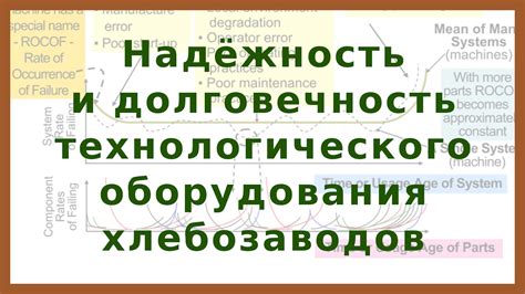 Легкость ухода и долговечность оборудования