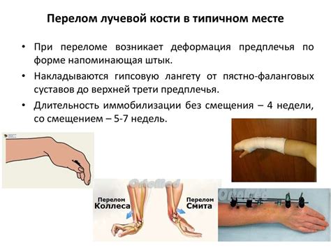 Лечение и восстановление лунок