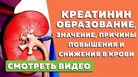 Лечение повышенного креатинина народными средствами