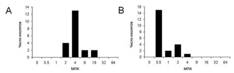 Лечение Pseudomonas aeruginosa у собаки