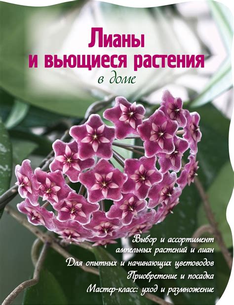 Лианы и вьющиеся растения