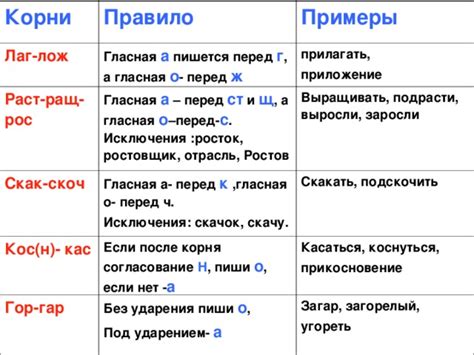 Лингвистические особенности чередования корней