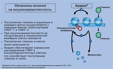 Липтинумаб: механизм действия и эффективность