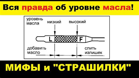 Лучшие советы по проверке оригинальности масла для BMW