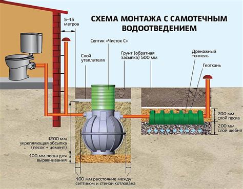 Маковка человека: что это такое и как она влияет на нас