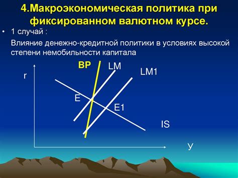 Макроэкономическая политика