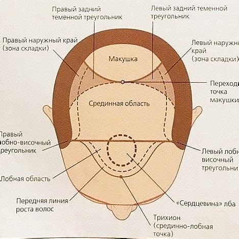 Макушка как зона внимания: почему парни целуют волосы